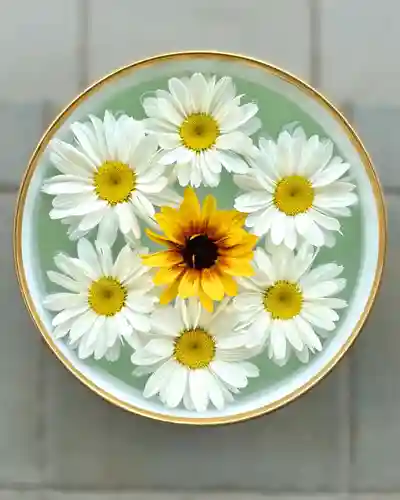 伊達神社の手水舎