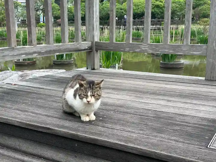 太宰府天満宮の{uncategorized: "未分類", other: "その他", undefined: "問題あり", building: "その他建物", grave: "お墓", sacred_gate: "鳥居", guardian: "狛犬", statue: "像", buddha: "仏像", history: "歴史", nature: "自然", garden: "庭園", animal: "動物", pagoda: "塔", temizu: "手水舎", mountain_gate: "山門・神門", sanctuary: "本殿・本堂", subordinate: "末社・摂社", art: "芸術", scenery: "景色", jizo: "地蔵", ema: "絵馬", goshuin: "御朱印", omikuji: "おみくじ", items: "授与品その他", amulet: "お守り", goshuincho: "御朱印帳", eats: "食事", festival: "お祭り", votive_dance: "神楽", shichigosan: "七五三参", wedding: "結婚式", experience: "体験その他", initially: "初詣", around: "周辺", anti_infection: "感染症対策"}