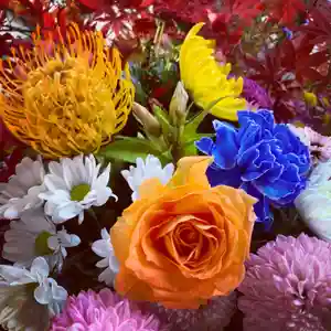 滑川神社 - 仕事と子どもの守り神の手水舎(2020年11月19日(木) 16時19分24秒投稿)