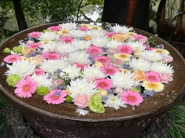 武蔵一宮氷川神社(埼玉県)