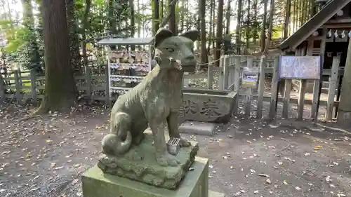 宝登山神社奥宮の狛犬