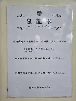 泉神社(茨城県)