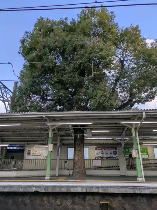 足の神様 服部天神宮の{uncategorized: "未分類", other: "その他", undefined: "問題あり", building: "その他建物", grave: "お墓", sacred_gate: "鳥居", guardian: "狛犬", statue: "像", buddha: "仏像", history: "歴史", nature: "自然", garden: "庭園", animal: "動物", pagoda: "塔", temizu: "手水舎", mountain_gate: "山門・神門", sanctuary: "本殿・本堂", subordinate: "末社・摂社", art: "芸術", scenery: "景色", jizo: "地蔵", ema: "絵馬", goshuin: "御朱印", omikuji: "おみくじ", items: "授与品その他", amulet: "お守り", goshuincho: "御朱印帳", eats: "食事", festival: "お祭り", votive_dance: "神楽", shichigosan: "七五三参", wedding: "結婚式", experience: "体験その他", initially: "初詣", around: "周辺", anti_infection: "感染症対策"}