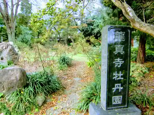 龍真寺のその他建物