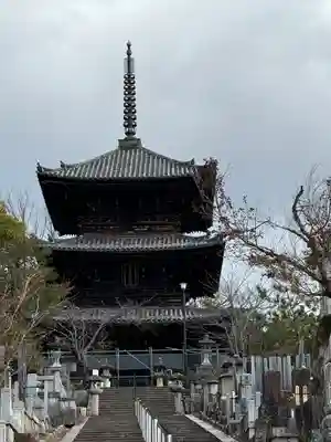 くろ谷 金戒光明寺(京都府)
