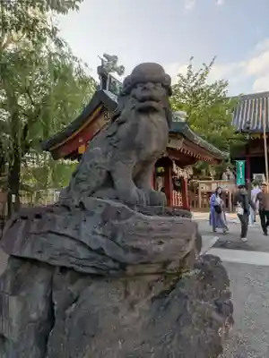浅草神社の狛犬