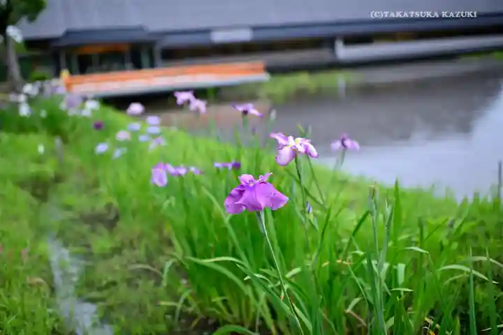 伊勢神宮外宮(豊受大神宮)の自然