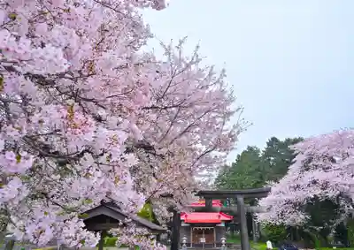 冨知神社(静岡県)