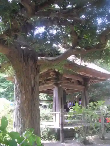 円応寺のその他建物