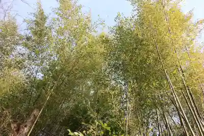 大六天麻王神社の景色
