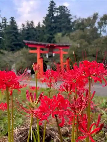 蚊里田八幡宮(長野県)