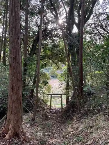 熊野神社の鳥居