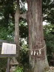 熊野那智神社(宮城県)