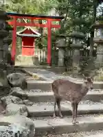 春日大社の{uncategorized: "未分類", other: "その他", undefined: "問題あり", building: "その他建物", grave: "お墓", sacred_gate: "鳥居", guardian: "狛犬", statue: "像", buddha: "仏像", history: "歴史", nature: "自然", garden: "庭園", animal: "動物", pagoda: "塔", temizu: "手水舎", mountain_gate: "山門・神門", sanctuary: "本殿・本堂", subordinate: "末社・摂社", art: "芸術", scenery: "景色", jizo: "地蔵", ema: "絵馬", goshuin: "御朱印", omikuji: "おみくじ", items: "授与品その他", amulet: "お守り", goshuincho: "御朱印帳", eats: "食事", festival: "お祭り", votive_dance: "神楽", shichigosan: "七五三参", wedding: "結婚式", experience: "体験その他", initially: "初詣", around: "周辺", anti_infection: "感染症対策"}