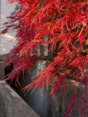 成願寺(東京都)