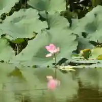 鏡石鹿嶋神社 *安産・開運・勝利の神さま*(福島県)
