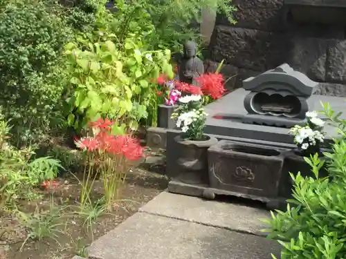 一乗寺(東京都)