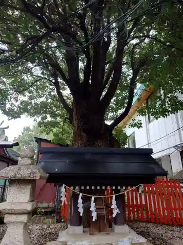 阿部野神社(大阪府)