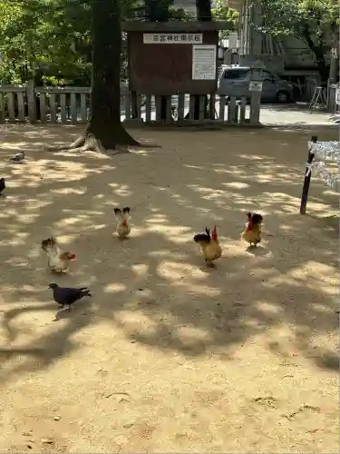 忌宮神社(山口県)