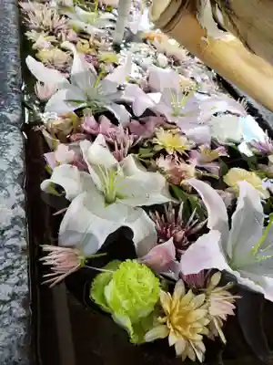 鳩森八幡神社の手水舎