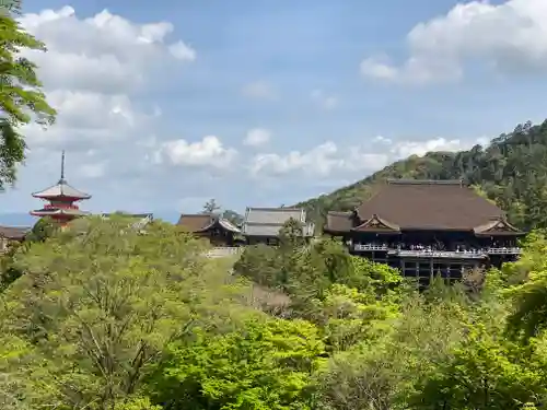 清水寺の景色
