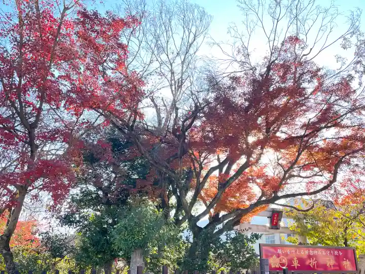 車折神社の{uncategorized: "未分類", other: "その他", undefined: "問題あり", building: "その他建物", grave: "お墓", sacred_gate: "鳥居", guardian: "狛犬", statue: "像", buddha: "仏像", history: "歴史", nature: "自然", garden: "庭園", animal: "動物", pagoda: "塔", temizu: "手水舎", mountain_gate: "山門・神門", sanctuary: "本殿・本堂", subordinate: "末社・摂社", art: "芸術", scenery: "景色", jizo: "地蔵", ema: "絵馬", goshuin: "御朱印", omikuji: "おみくじ", items: "授与品その他", amulet: "お守り", goshuincho: "御朱印帳", eats: "食事", festival: "お祭り", votive_dance: "神楽", shichigosan: "七五三参", wedding: "結婚式", experience: "体験その他", initially: "初詣", around: "周辺", anti_infection: "感染症対策"}