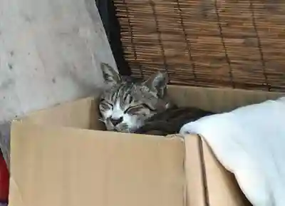 阿邪訶根神社(福島県)