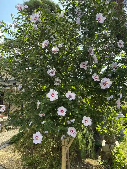 湯川寺 (北海道)