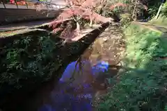 鰐淵寺の周辺