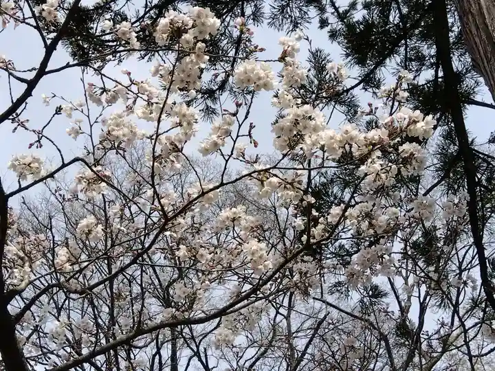 日吉神社(福井県)