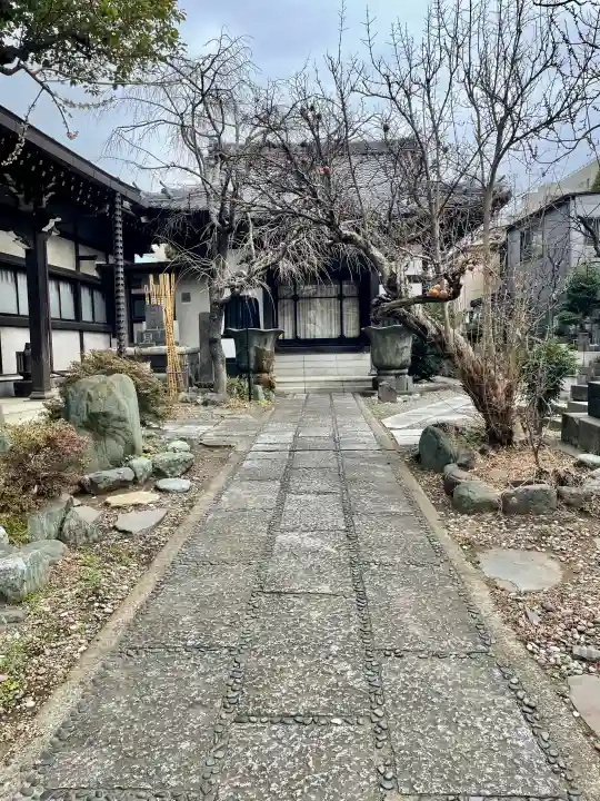 本寿寺の{uncategorized: "未分類", other: "その他", undefined: "問題あり", building: "その他建物", grave: "お墓", sacred_gate: "鳥居", guardian: "狛犬", statue: "像", buddha: "仏像", history: "歴史", nature: "自然", garden: "庭園", animal: "動物", pagoda: "塔", temizu: "手水舎", mountain_gate: "山門・神門", sanctuary: "本殿・本堂", subordinate: "末社・摂社", art: "芸術", scenery: "景色", jizo: "地蔵", ema: "絵馬", goshuin: "御朱印", omikuji: "おみくじ", items: "授与品その他", amulet: "お守り", goshuincho: "御朱印帳", eats: "食事", festival: "お祭り", votive_dance: "神楽", shichigosan: "七五三参", wedding: "結婚式", experience: "体験その他", initially: "初詣", around: "周辺", anti_infection: "感染症対策"}