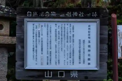 玉祖神社(山口県)