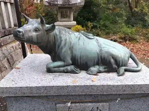 八坂神社(滋賀県)