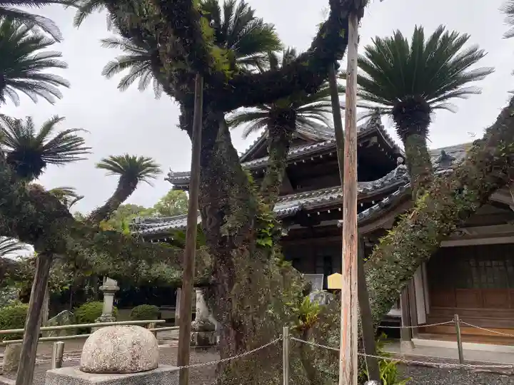 報恩寺(和歌山県)