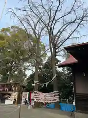 多摩川浅間神社(東京都)