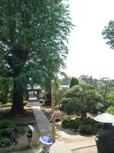 法林寺のその他建物