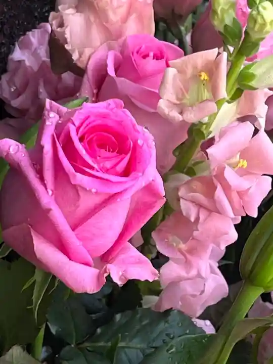 上尾御嶽神社の手水舎