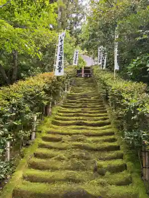 杉本寺の{uncategorized: "未分類", other: "その他", undefined: "問題あり", building: "その他建物", grave: "お墓", sacred_gate: "鳥居", guardian: "狛犬", statue: "像", buddha: "仏像", history: "歴史", nature: "自然", garden: "庭園", animal: "動物", pagoda: "塔", temizu: "手水舎", mountain_gate: "山門・神門", sanctuary: "本殿・本堂", subordinate: "末社・摂社", art: "芸術", scenery: "景色", jizo: "地蔵", ema: "絵馬", goshuin: "御朱印", omikuji: "おみくじ", items: "授与品その他", amulet: "お守り", goshuincho: "御朱印帳", eats: "食事", festival: "お祭り", votive_dance: "神楽", shichigosan: "七五三参", wedding: "結婚式", experience: "体験その他", initially: "初詣", around: "周辺", anti_infection: "感染症対策"}