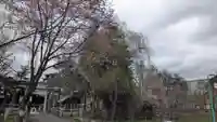 上川神社頓宮の鳥居