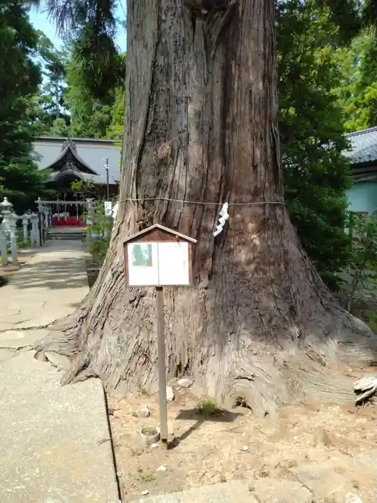 涼ケ岡八幡神社(福島県)