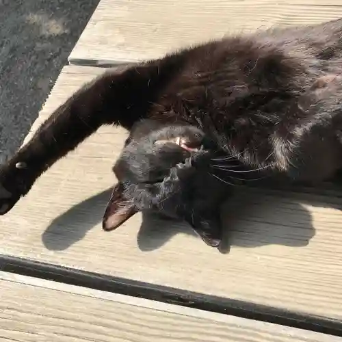 高司神社〜むすびの神の鎮まる社〜(福島県)