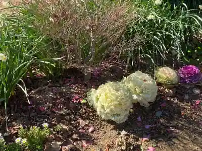 比佐豆知神社(三重県)