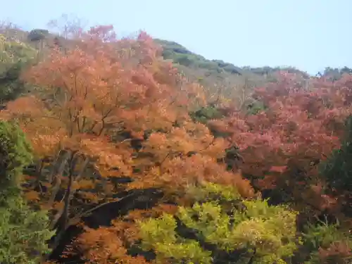 鶴岡八幡宮の自然