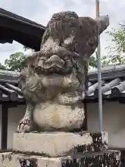 素盞嗚神社の狛犬