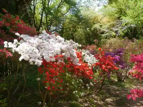 正福寺の自然