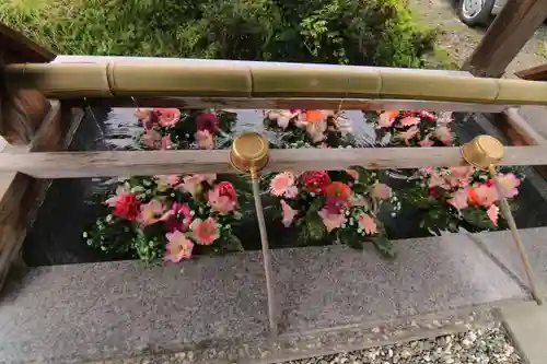 豊景神社の手水