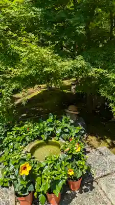 勝林寺(京都府)