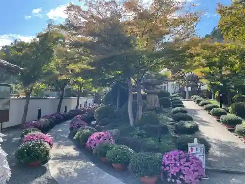 宝徳寺(群馬県)
