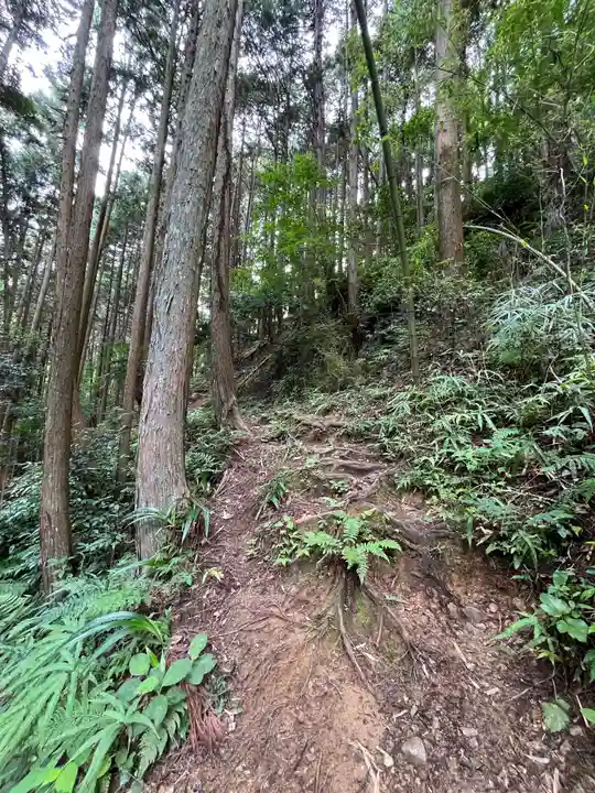 南法華寺(壷阪寺)(奈良県)