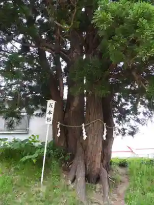 岩木山神社(青森県)